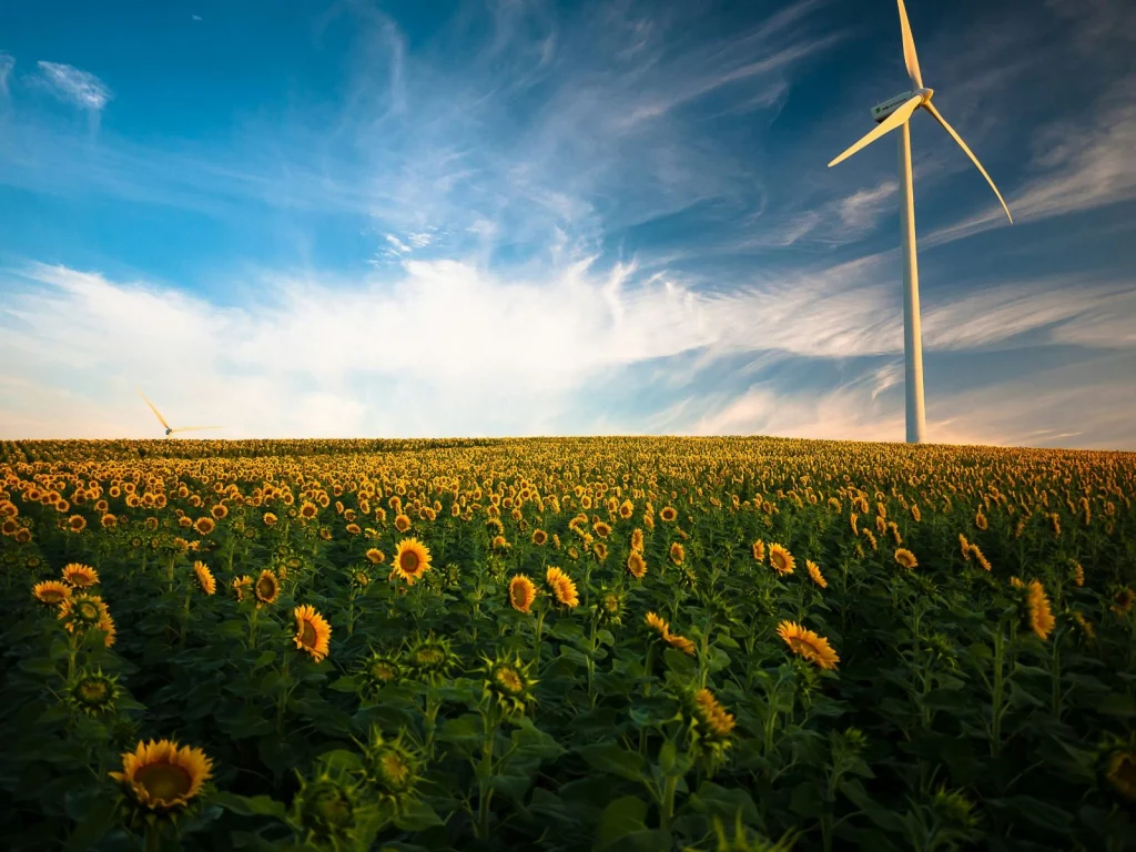 Windenergie Zonnebloemenveld Nederland