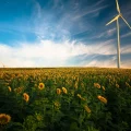 Windenergie Zonnebloemenveld Nederland