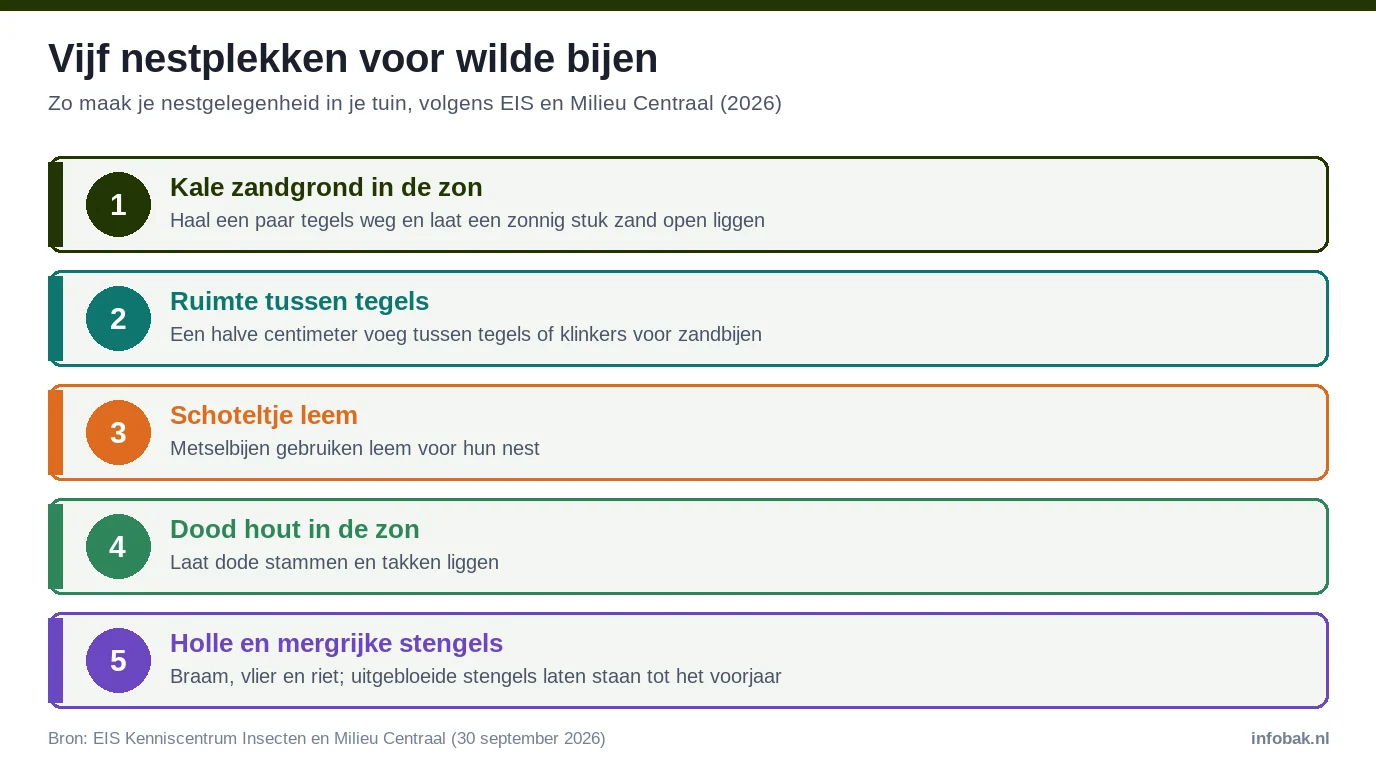 Vijf nestplekken voor wilde bijen in de tuin: kale zandgrond, voegen tussen tegels, leem, dood hout en holle stengels (2026)